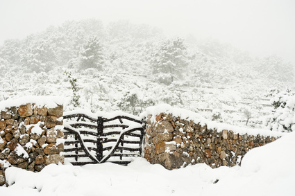 Mallorca im Winter